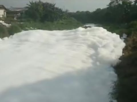 Busa putih Kali Cilemahabang