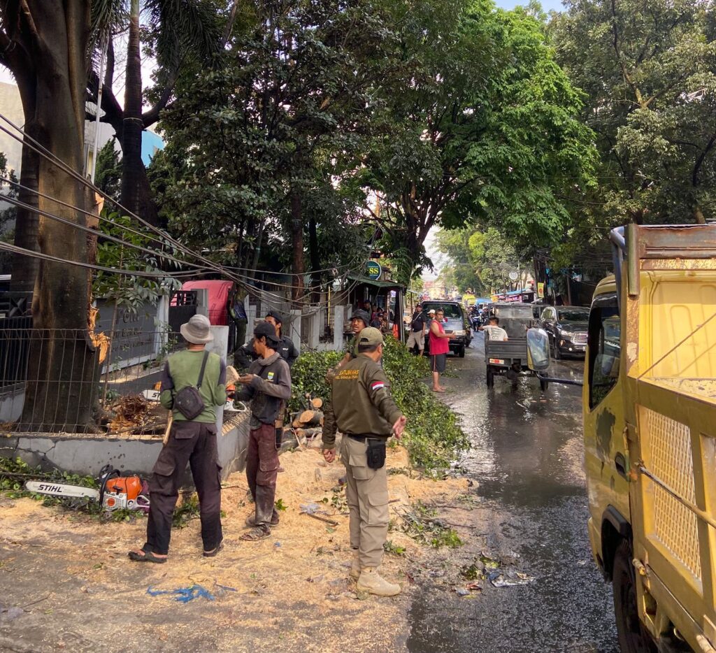 Pohon Tumbang Timpa Pom Mini di Caringin, Lalu Lintas Sempat Tersendat