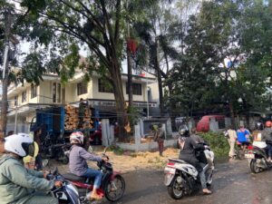 Pemkot Bandung Awasi Pohon Tua Rawan Tumbang Saat Musim Hujan