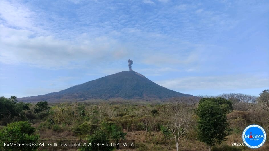 Gunung Ili Lewotolok Meletus, Masyarakat dan Wisatawan Dilarang Mendekati Radius 3 Km