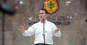 Harga Beras