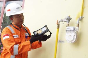 Jaringan Gas