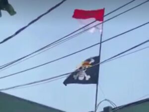 Bendera One Piece