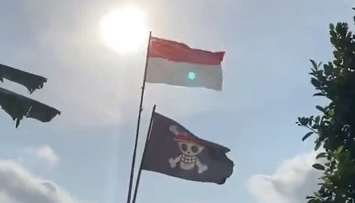 bendera one piece tni