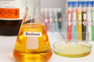 Sengketa Biodiesel