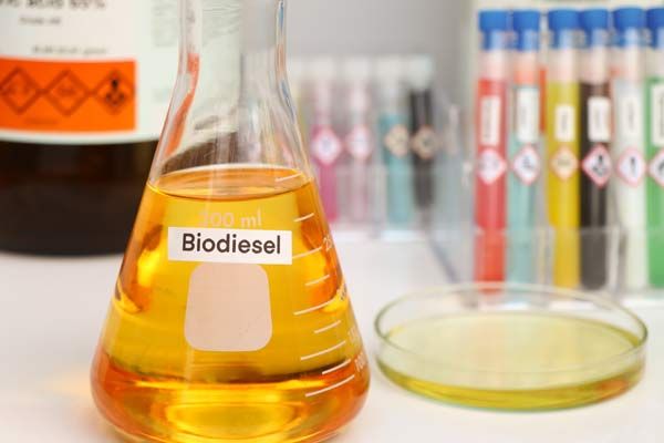 Sengketa Biodiesel