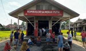 Beroperasi Akhir Agustus 2025, Kopdes Merah Putih Kelola Klinik dan Apotek