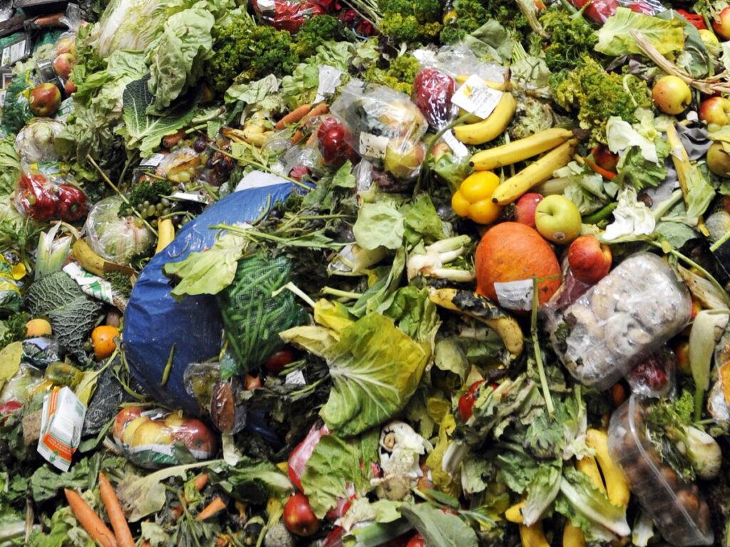 Sampah Makanan
