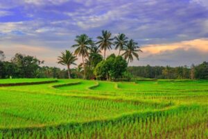 Pangandaran