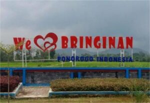 Desa Bringinan