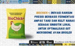 Tim Unair