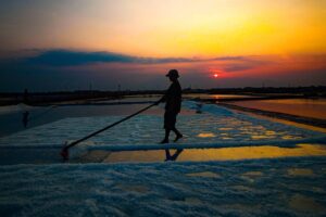 IMG_6626-1-scaled-1