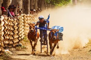 IMG_8645-1-scaled-1