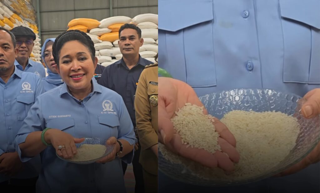 Beras bulog tidak layak