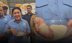 Beras bulog tidak layak