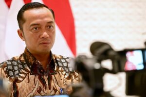 BUMN Danantara
