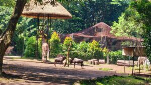 Bandung Zoo Ditutup, Pemkot Bandung Siapkan Kerja Sama dengan Ragunan dan Surabaya