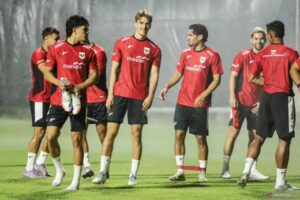 Timnas Indonesia