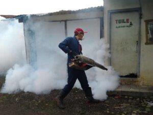 dbd garut