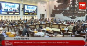 Penerimaan Pajak 2025