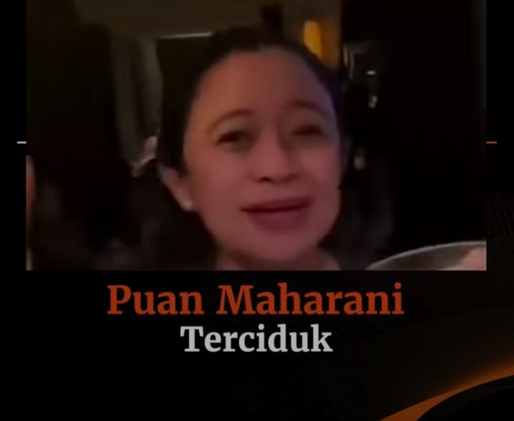 puan party