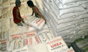Harga Pupuk Turun 20%