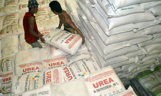Harga Pupuk Turun 20%