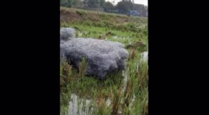 awan hitam misterius subang (TikTok @infobandungselatan0)