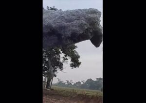 awan hitam subang