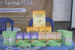 Teh kelor