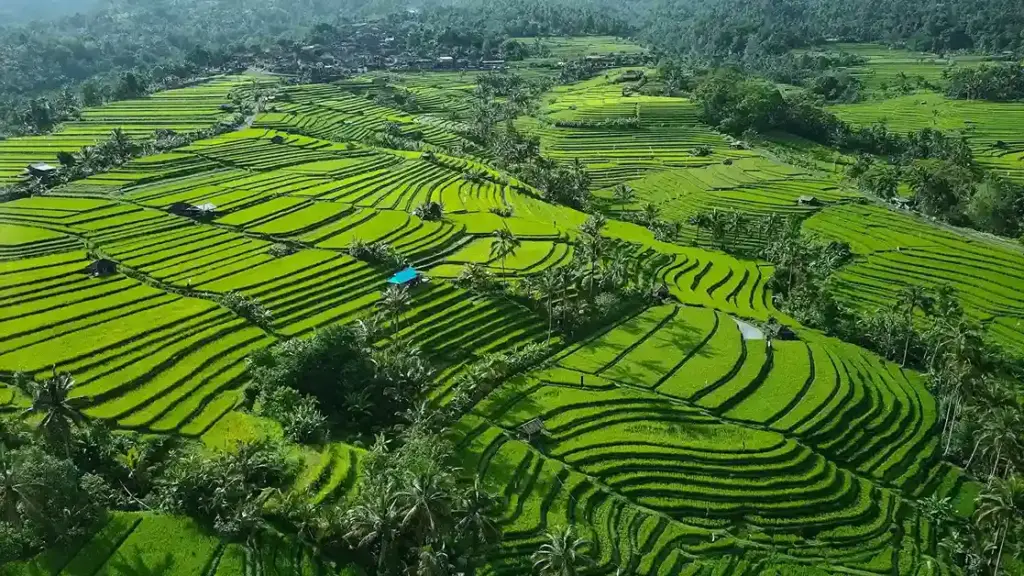 Desa Wisata Jatiluwih