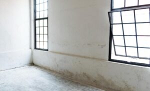 rumah lembab