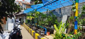 Buruan Sae Jadi Penggerak Urban Farming Terpadu di Bandung: Dari Olah Sampah hingga Cegah Stunting