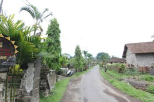 Desa Taro