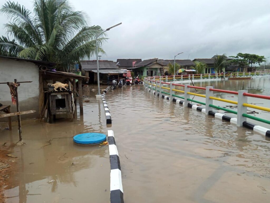 buaya banjir babel