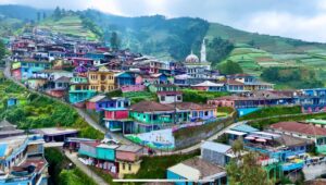 Nepal Van Java
