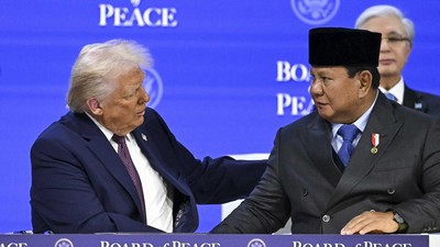 Dewan Perdamaian Gaza. data warga indonesia