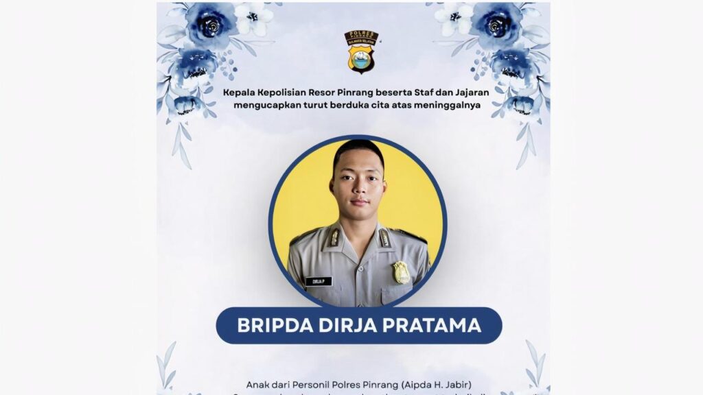 bripda dp
