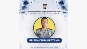 bripda dp
